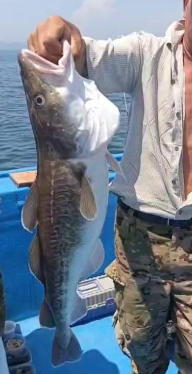     Источник: Улов25