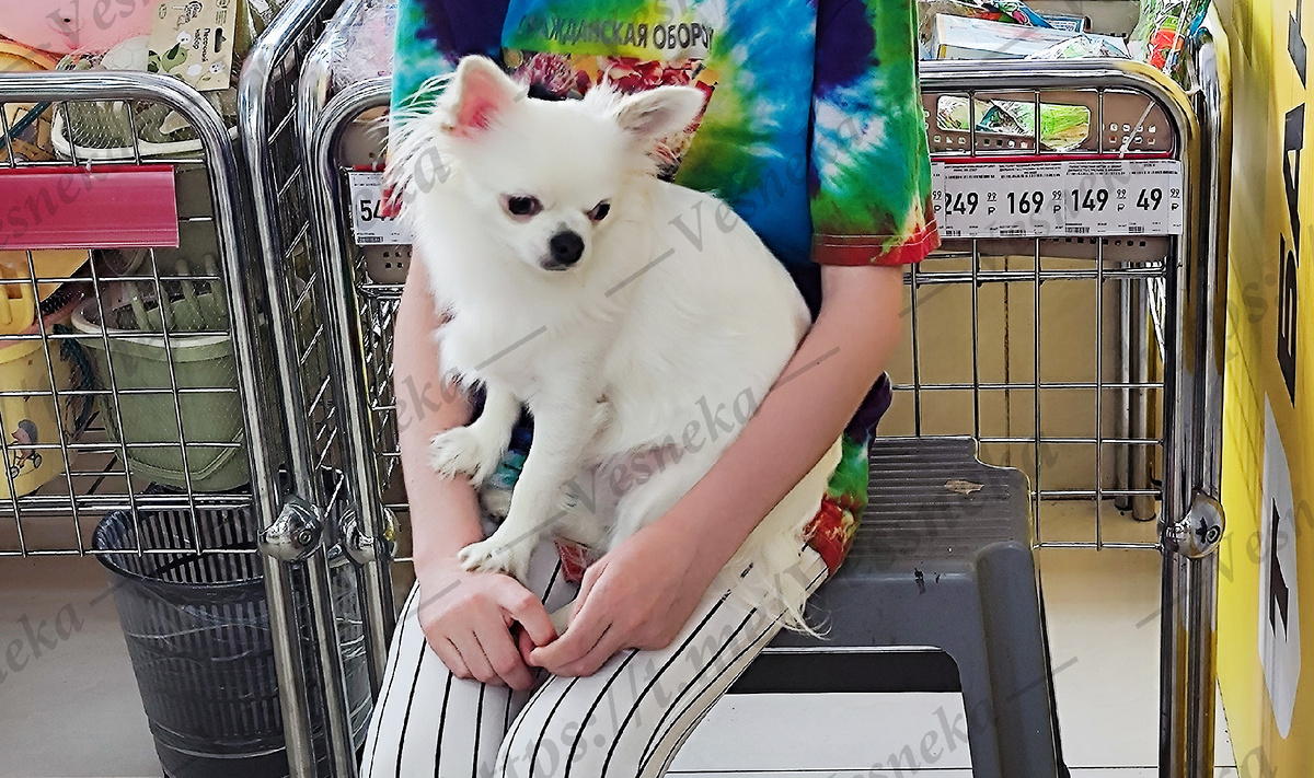 Фото автора