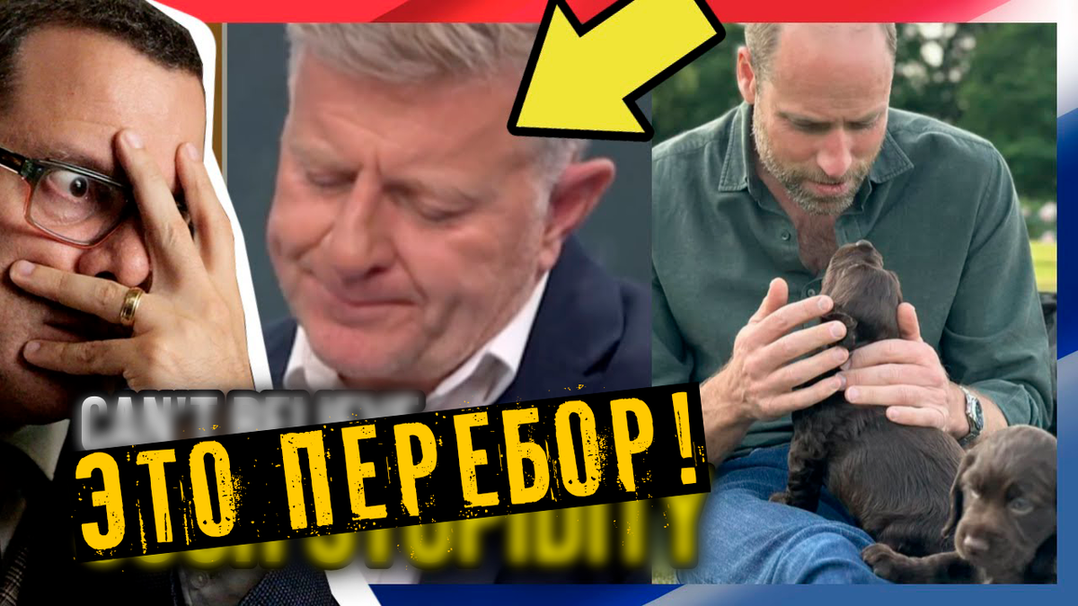 Принц Уильям и скандал со щенками. Оказывается, они «домашние», и почему это вдруг стало проблемой?