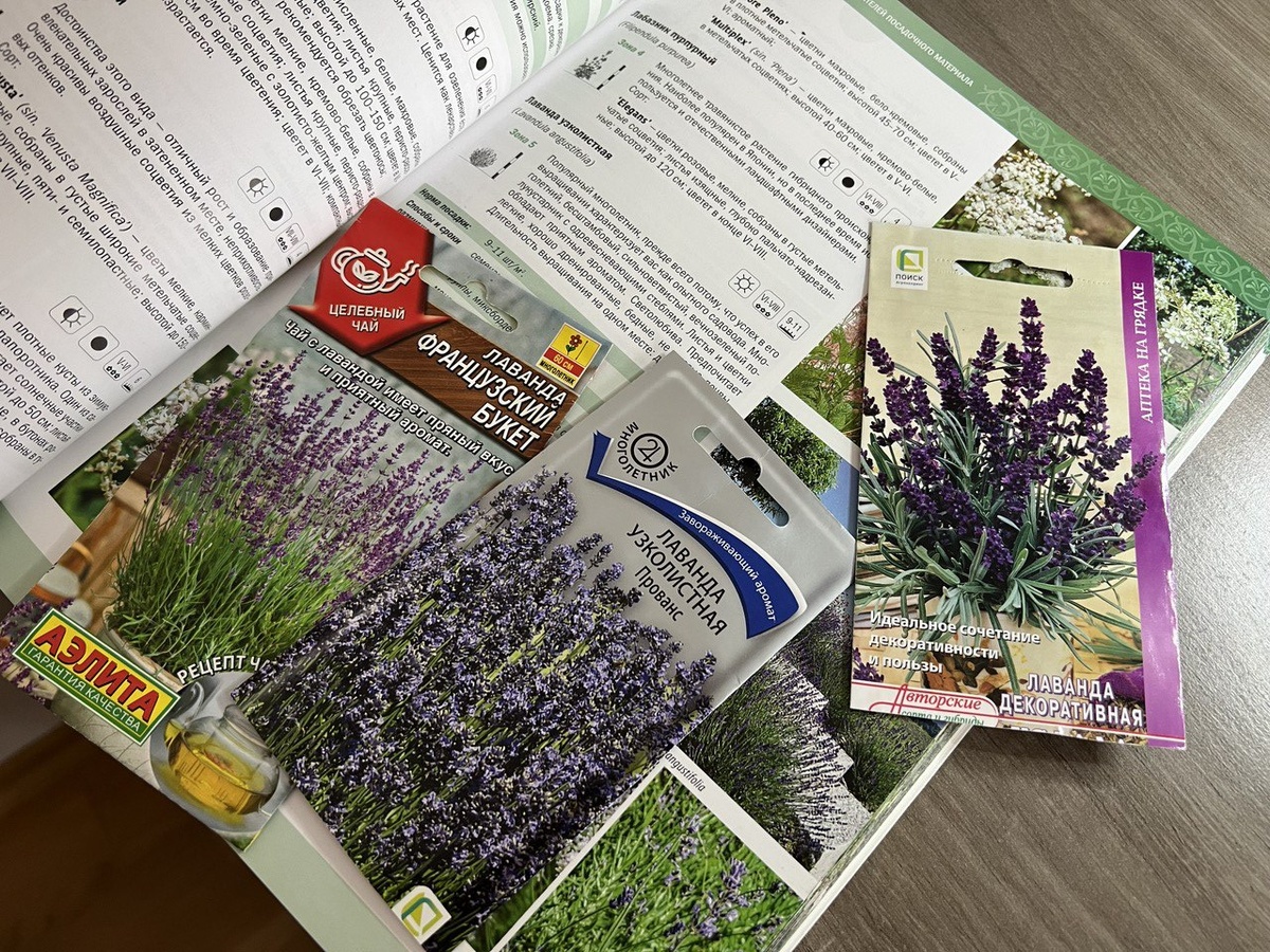 Фото автора канала Дом с кипарисами