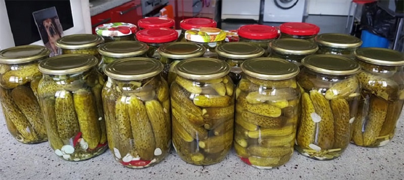Закатываем огурцы без уксуса и кипятка – особый рецепт