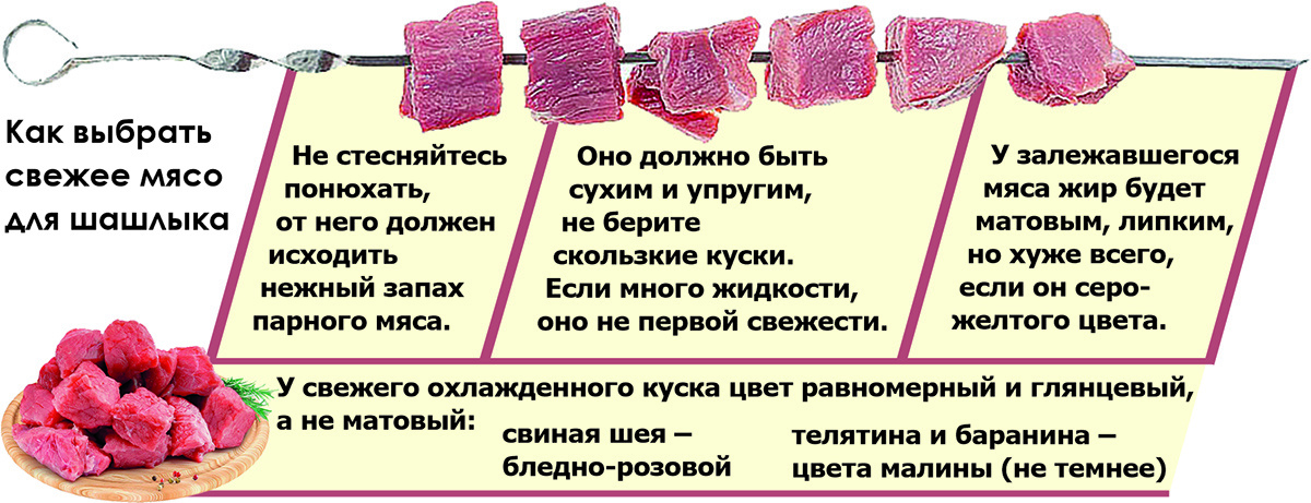    Как организовать вкусный и максимально безопасный отдых на природе — практические советы от экспертов