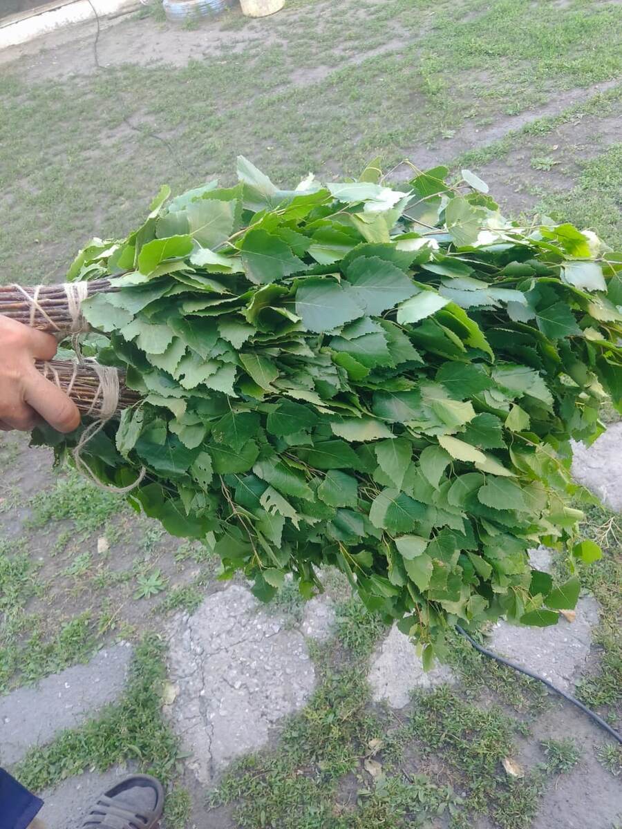 Берёзовый веник. Фото автора. 