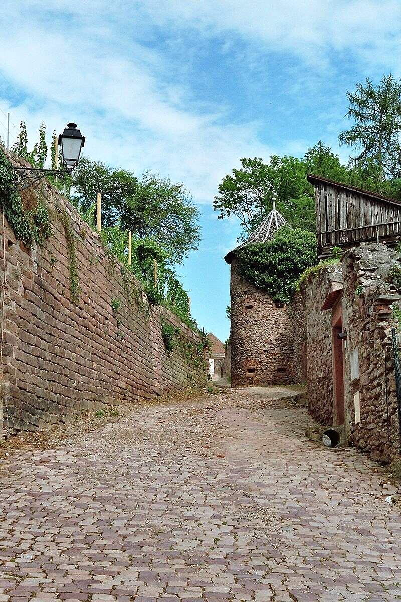 Дорога в замок. Источник: Яндекс картинки