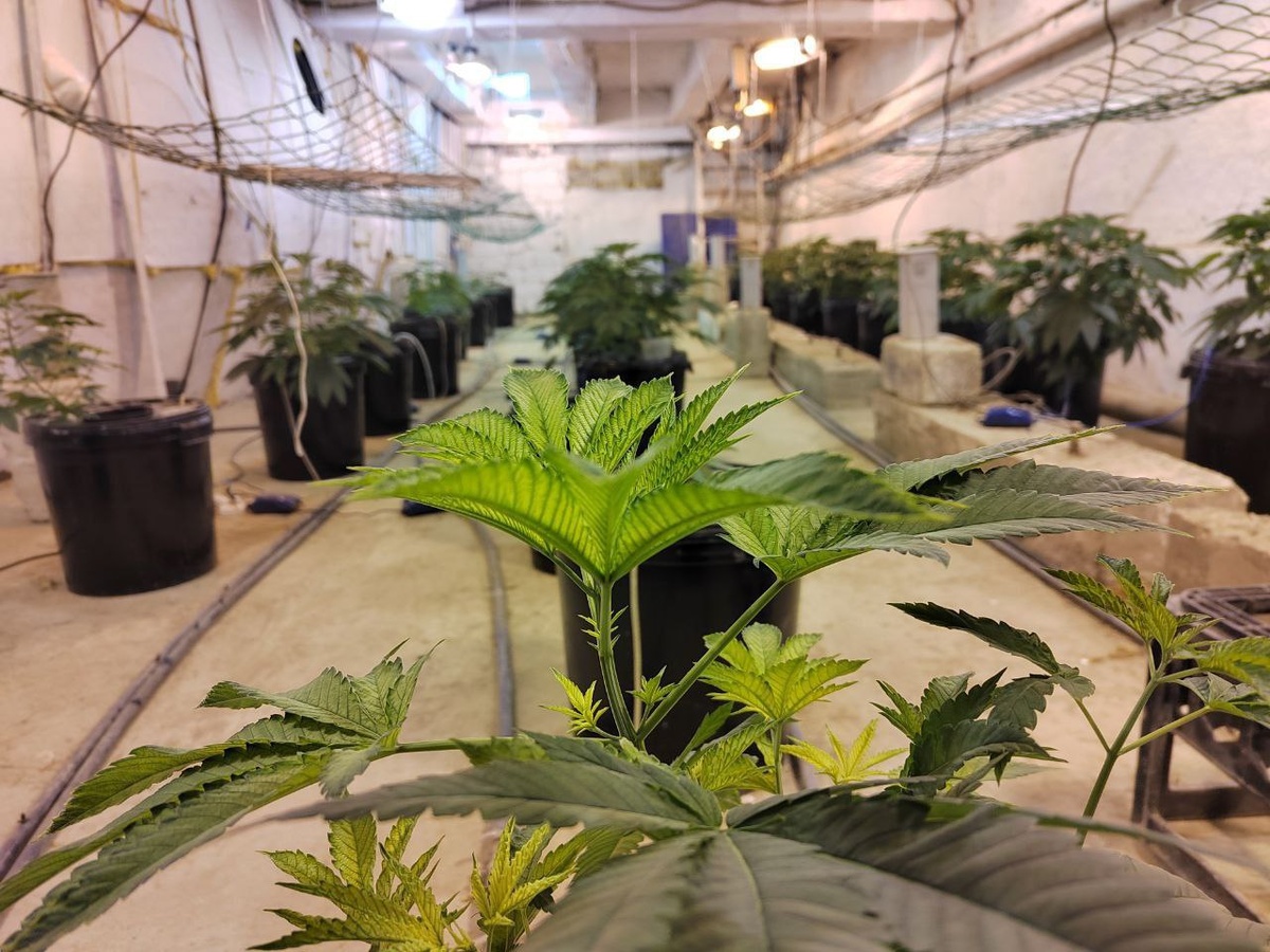    © Пресс-служба УФСБ России по Пермскому краю