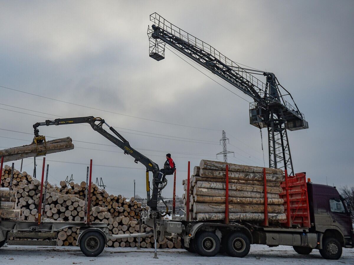    Сотрудники предприятия лесозаготовки и лесопереработки "Меридиан" в Верхней Тур© РИА Новости / Павел Лисицын