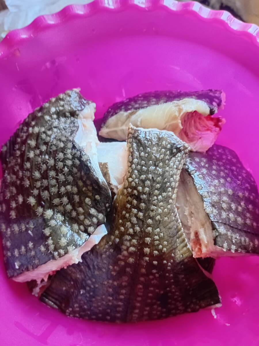 Фото другой камбалы от подруги 