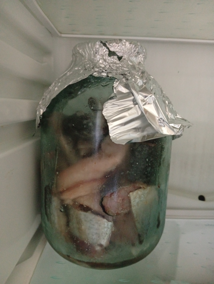 На удивление закрыл фольгой банку , а не просто , как обычно, поставил в холодильник без крышки. Раньше то опарыши для рыбалки у него в вымытом холодильнике  высыпятся , то прикормка.