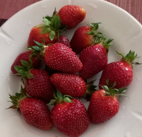 первые ягоды