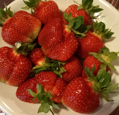 А это другой сорт