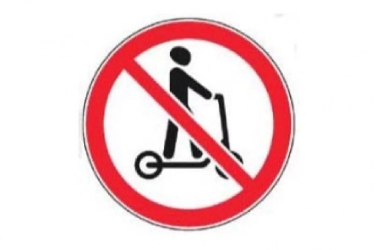    Калугу очистят от электросамокатов на День молодежи