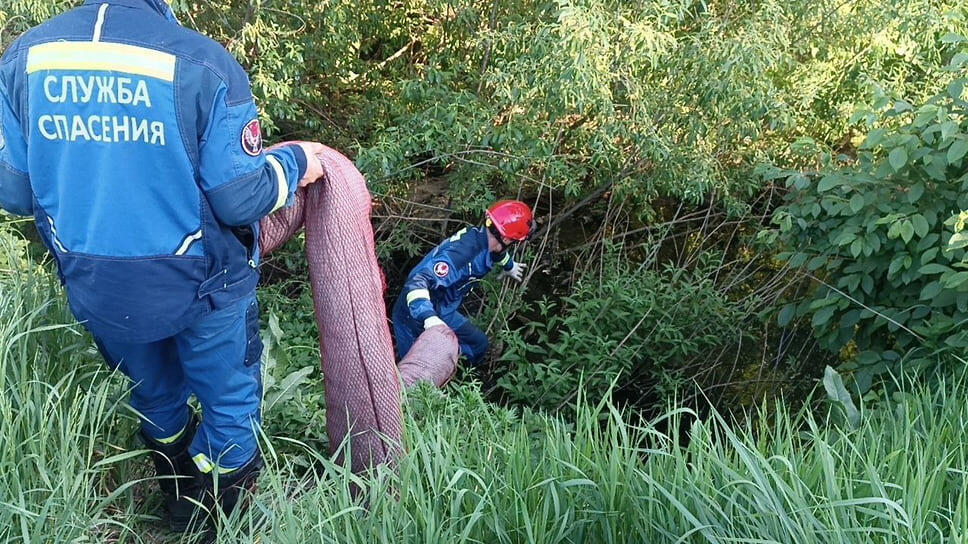 Фото: пресс-служба Минприроды УР