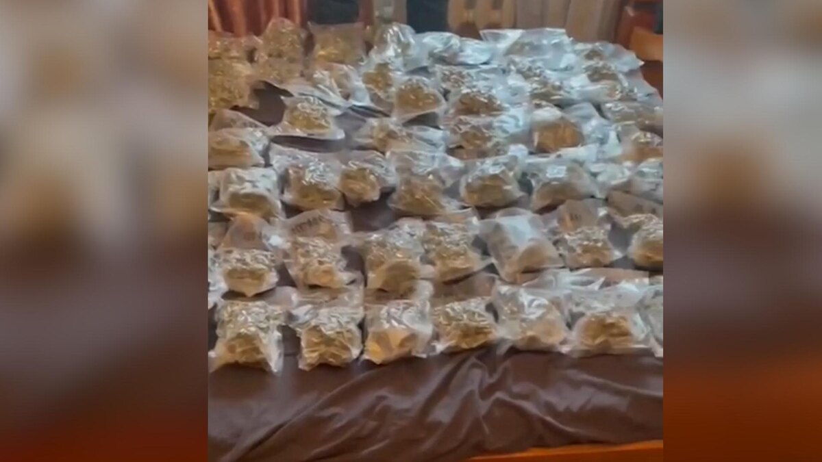    Фото: пресс-служба ГУ МВД России по г.Санкт-Петербургу и Ленинградской области