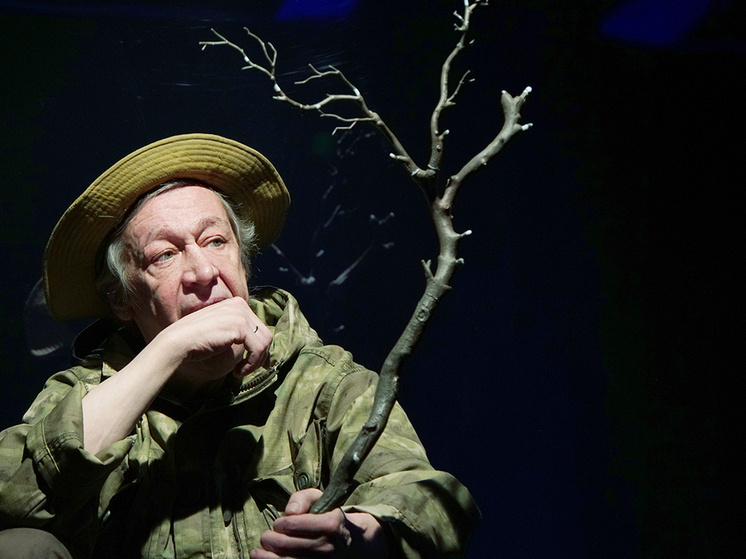 Михаил Ефремов. Фото: Ekaterina Tsvetkova/Global Look Press