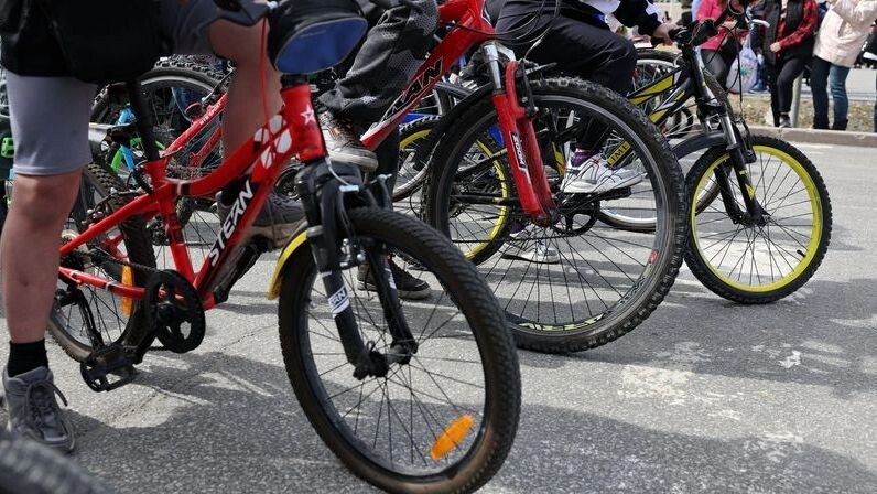    Фото: Андрей Ткачев / «Ямал-Медиа»