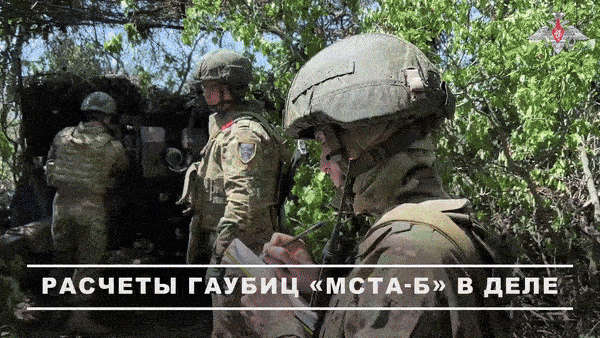    На Сумском направлении работает артиллерия//Видео с официального ТГ-канала Минобороны