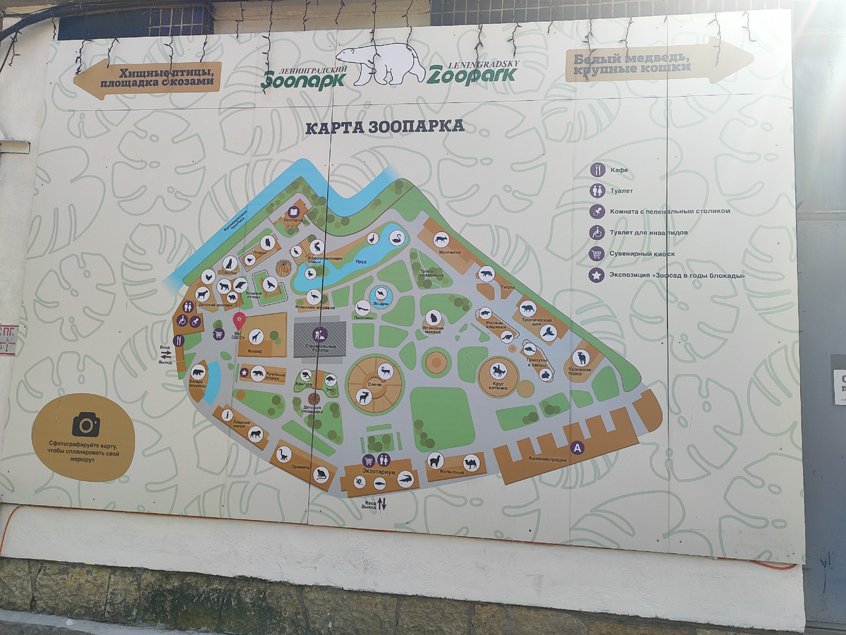 Схема зоопарка