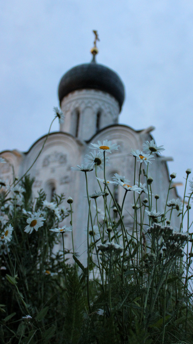 Церковь Покрова на Нерли