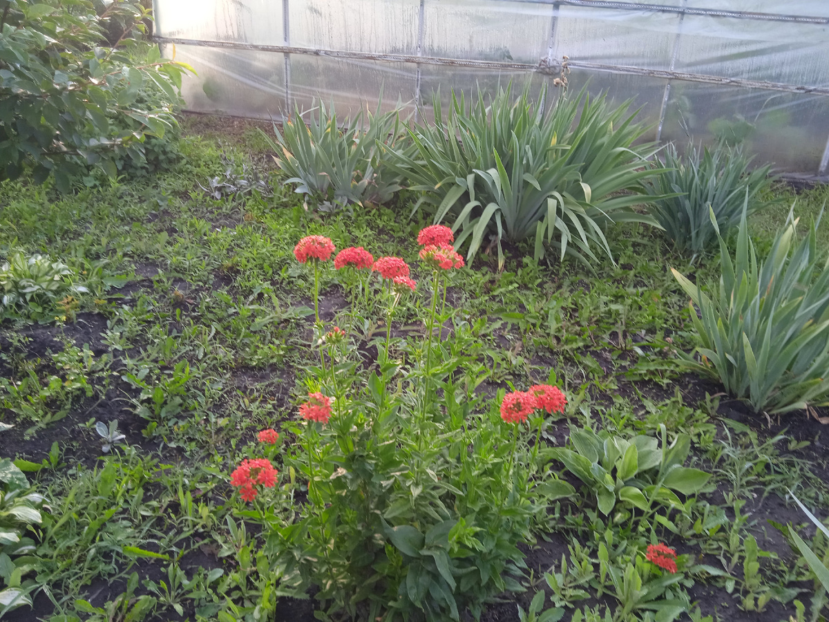 КРАСАВЧИК!!