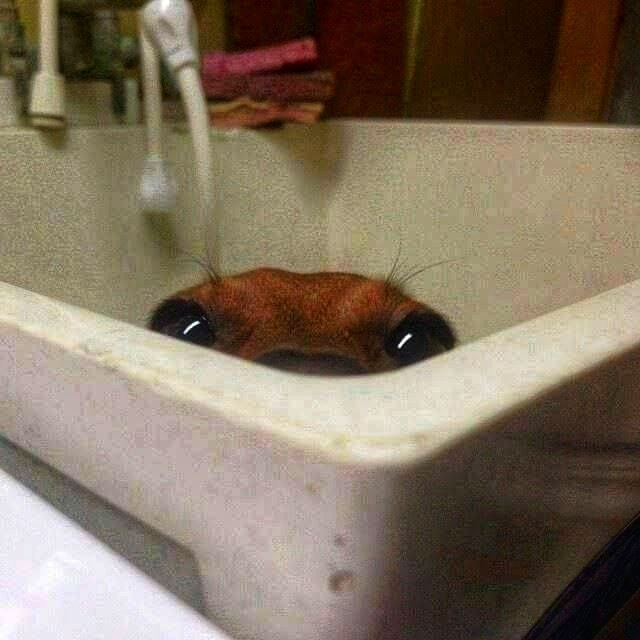 Спасаюсь от жары любыми способами