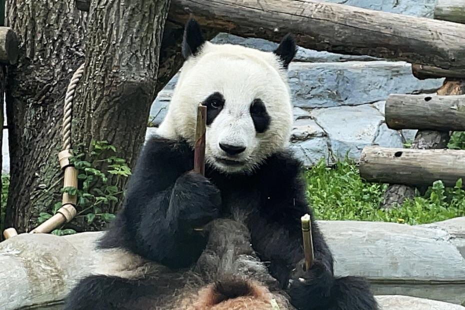    t.me/svetlanaakulova1*