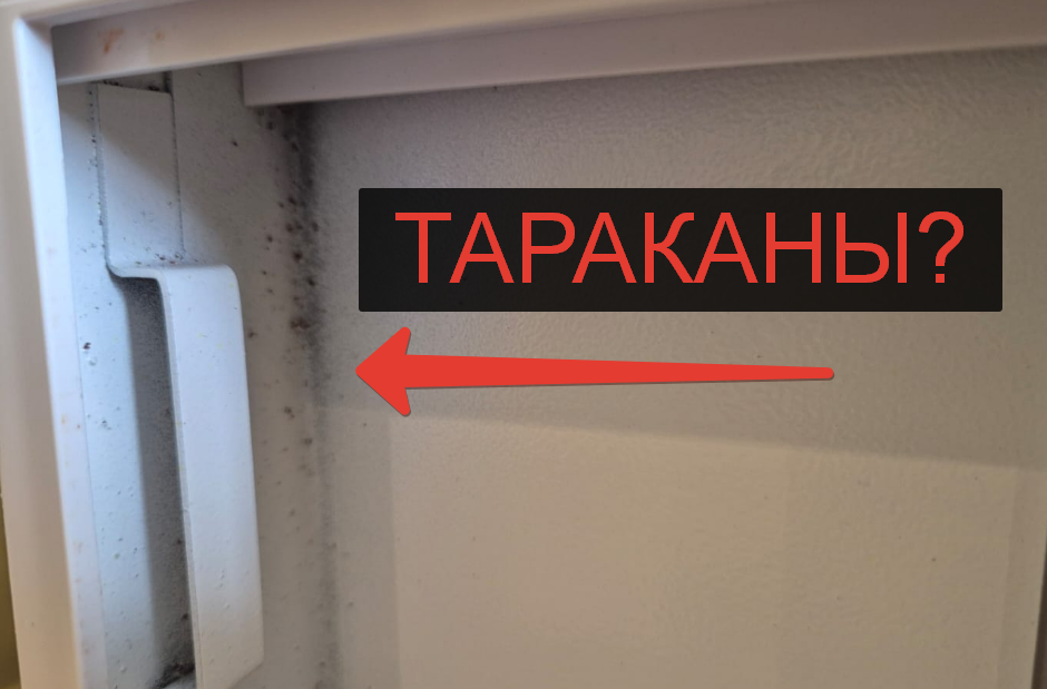 Товар со следами, похожими на следы жизнедеятельности насекомых или тараканов?