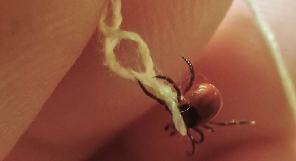    Фото: В курсе.ру Ульяна Бажанова