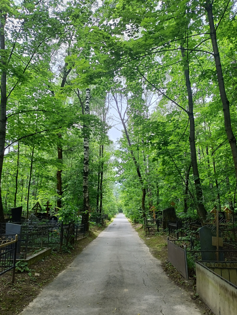 Если не знать, что это кладбище, то вполне уютненько