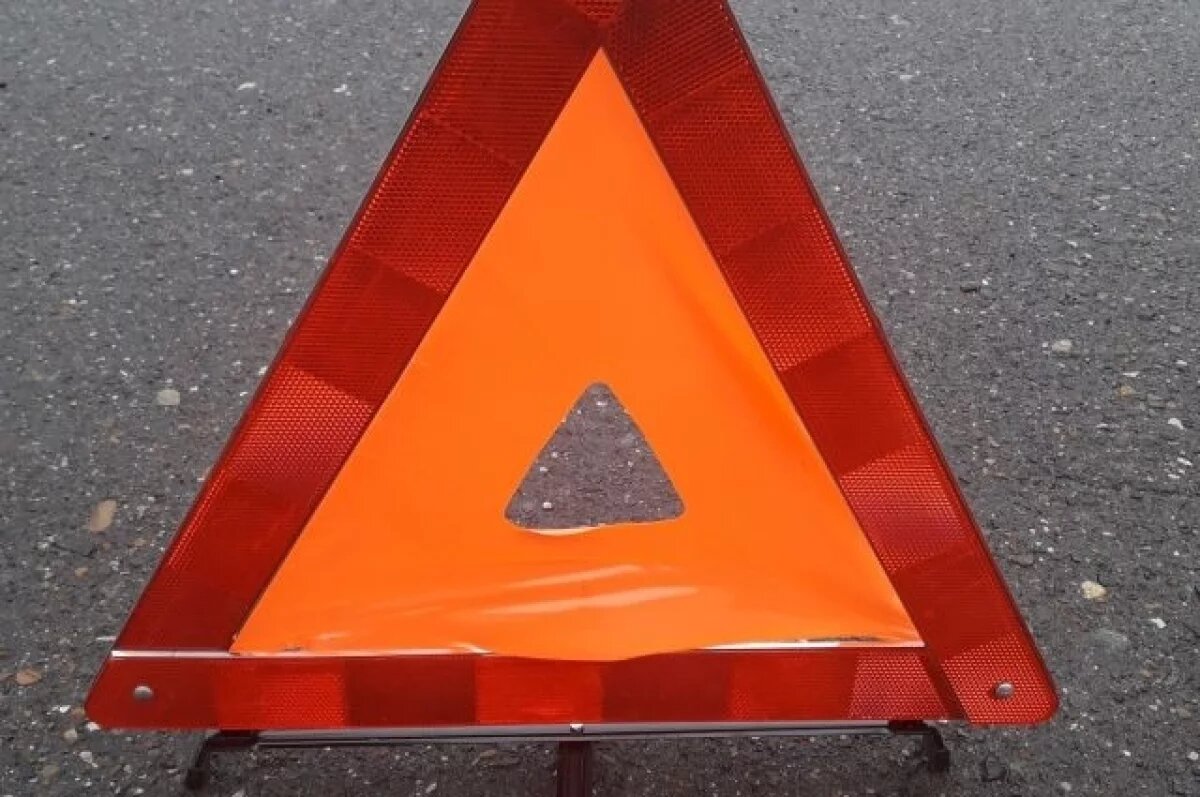    Под Нижним Новгородом в ДТП с лосем пострадали два человека