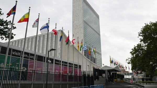    © Sputnik / Сергей Гунеев