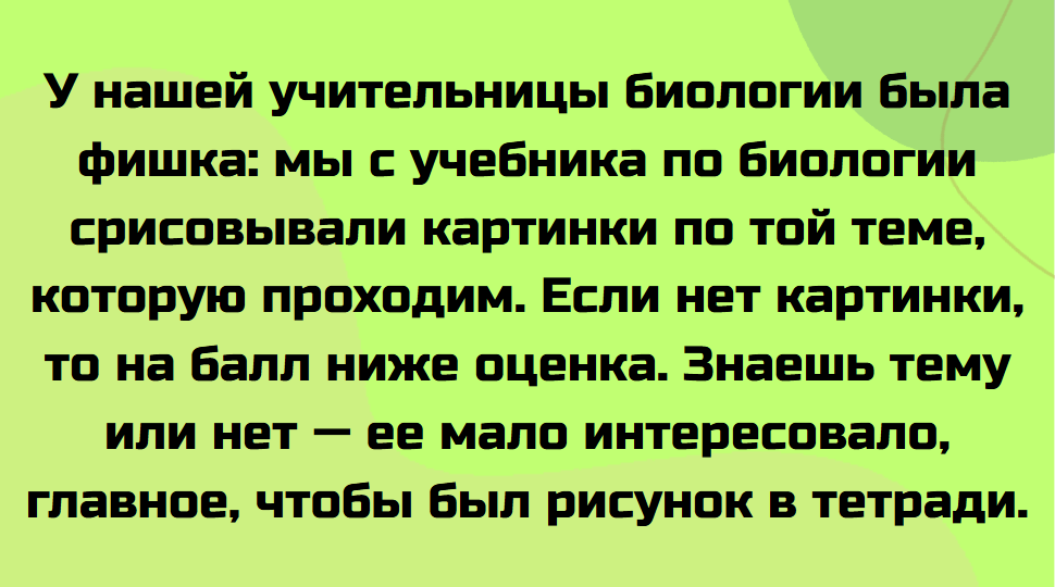 20+ историй, которые вернут нас в те самые школьные будни