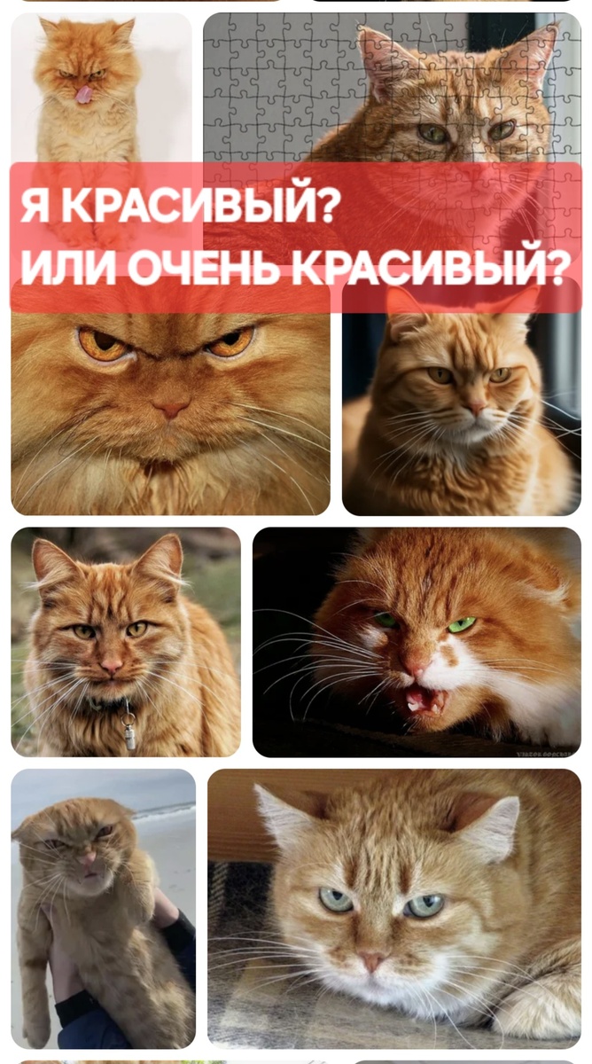 Фотоколлаж - собственность автора канала "ТАК НАДО". (Использованы скриншоты фото из интернета).