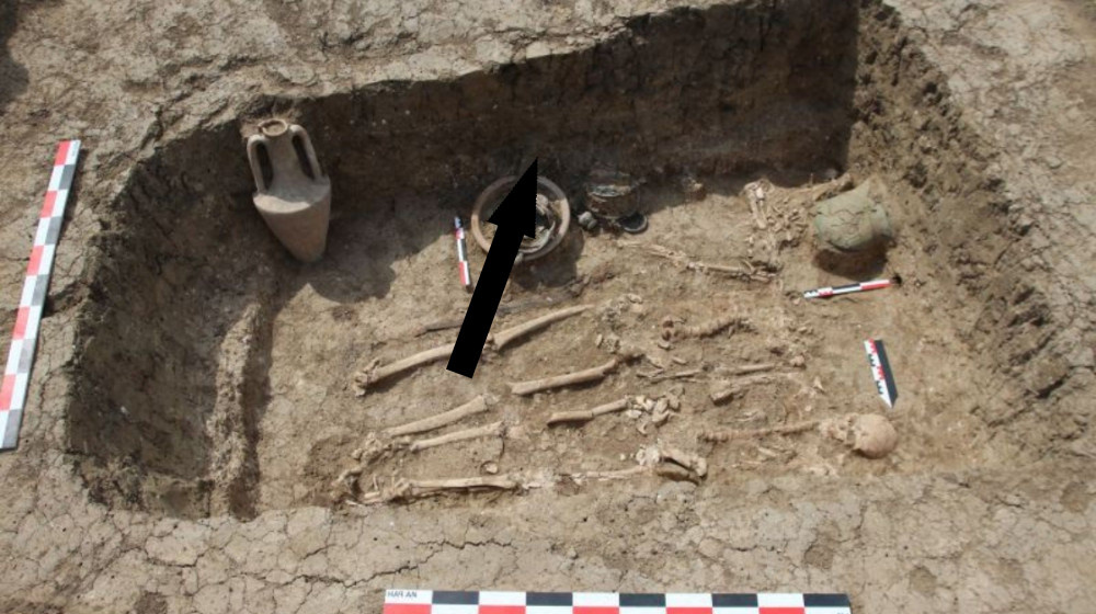    Загадка исчезновения берендеев раскрыта ученым благодаря новым открытиям