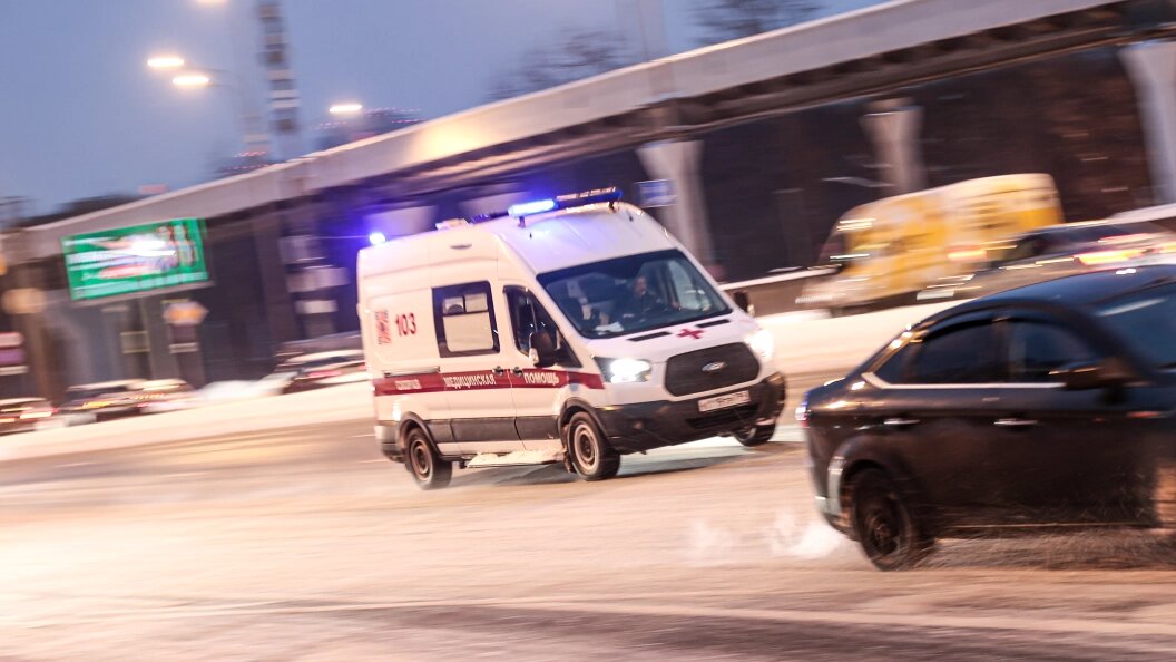    Фото: Dmitry Golubovich /Globallookpress