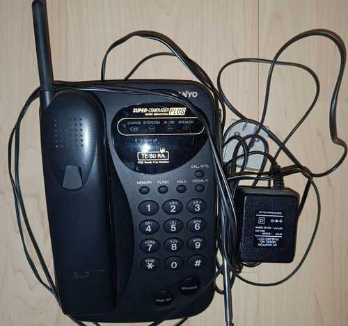 Фото: festima.ru CLT-9660