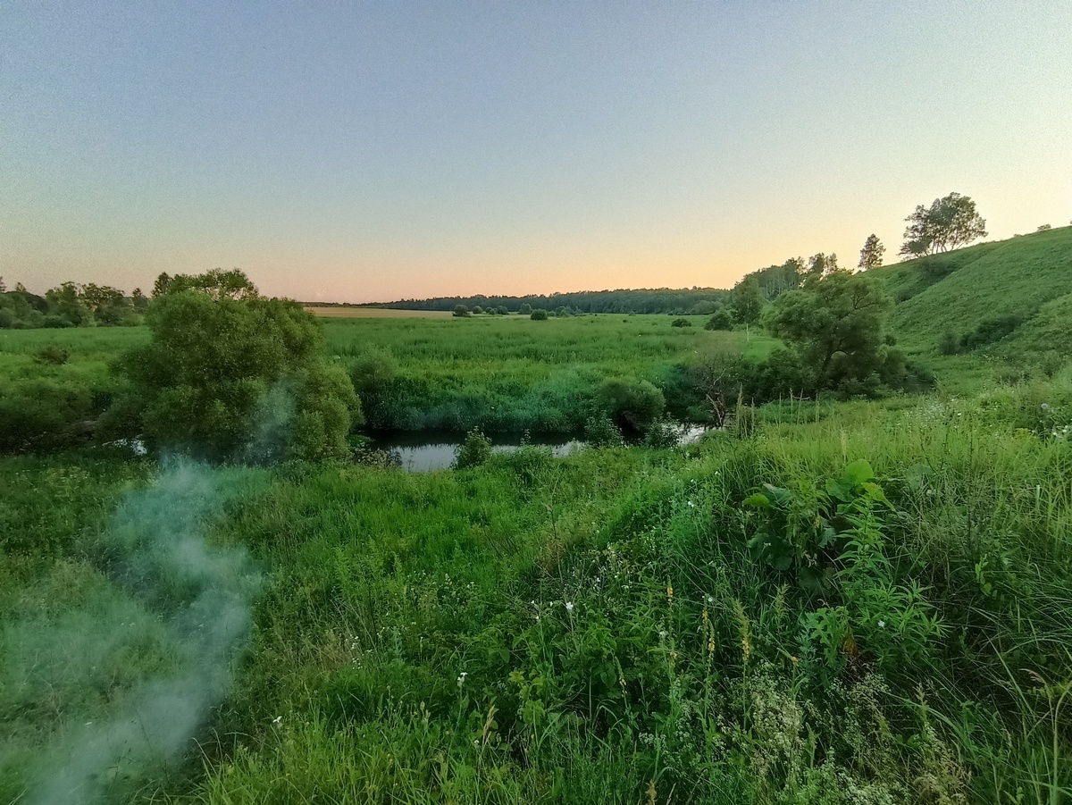 Бежин луг. сп. Тургеневское Чернский район Тульская область. Фото автора