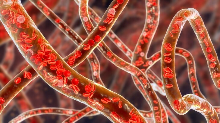    Фото: 123RF/drmicrobe