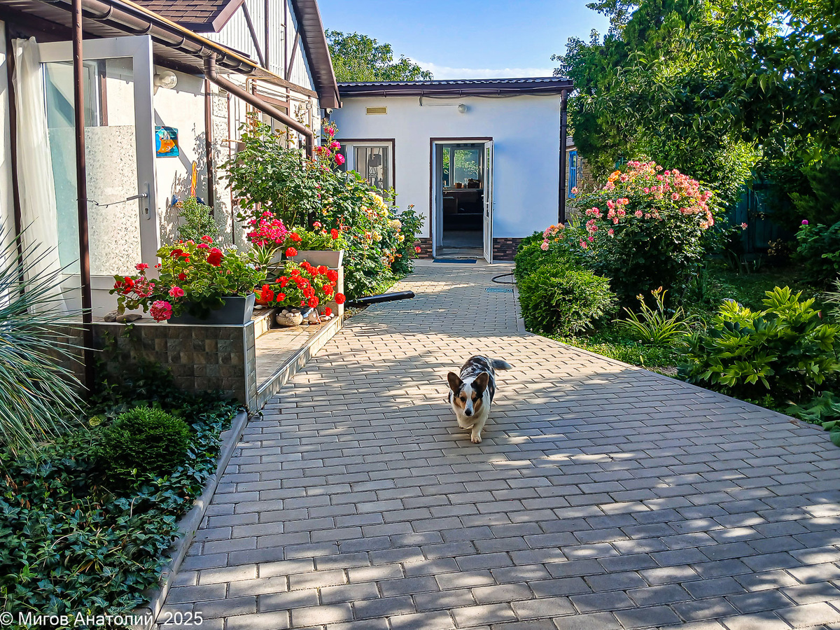На часах 7:30 утра, Тильда провожает меня на рынок с наказом, принести и для неё что-нибудь вкусное.