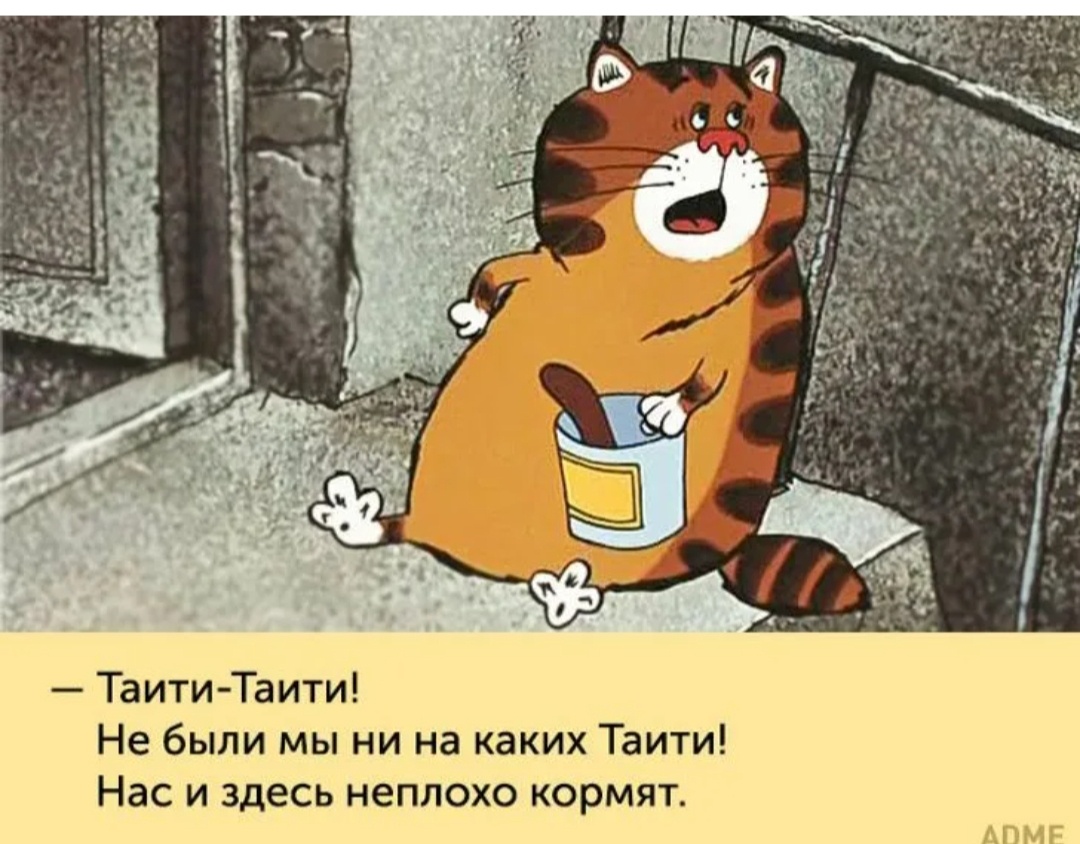 Вот это прям про меня ! 🤣🤣