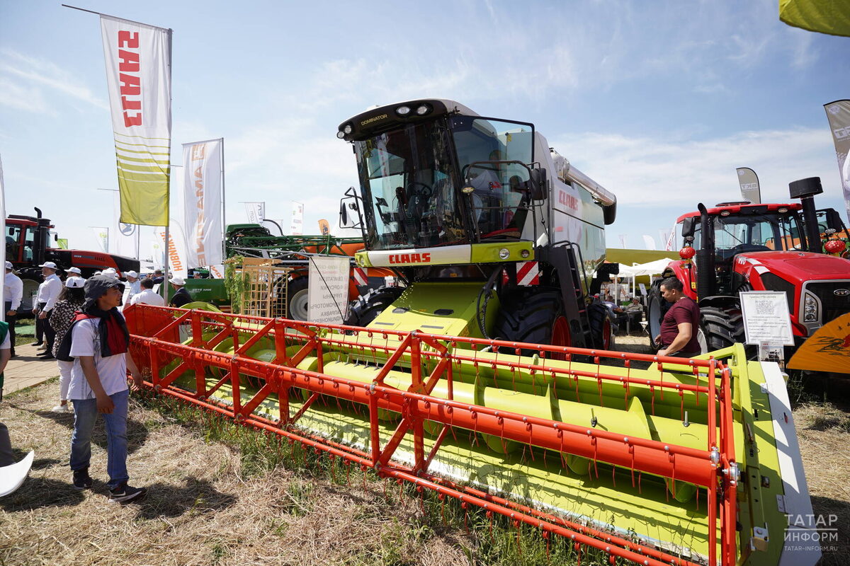 Фото: © Владимир Васильев / «Татар-информ»