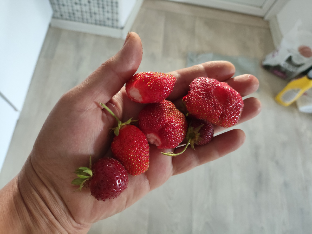 А сладкая какая!