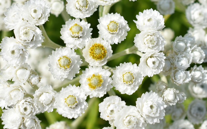 Источник фото: shutterstock.com