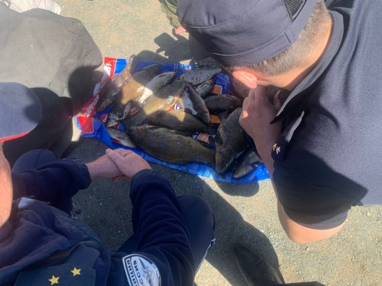    Житель Домбаровского района незаконно добыл 32 рыбы Мария Чалкина