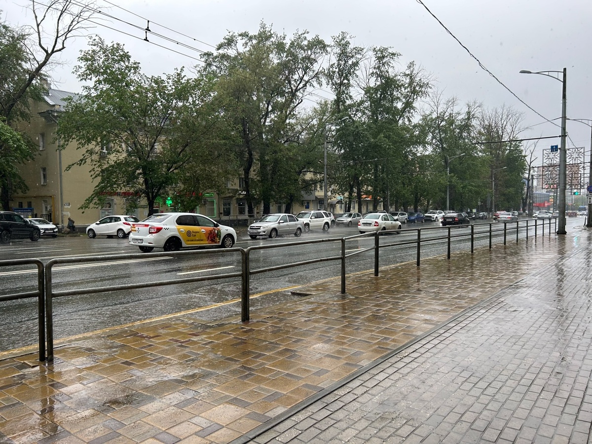    Фото: Анастасия Максименко