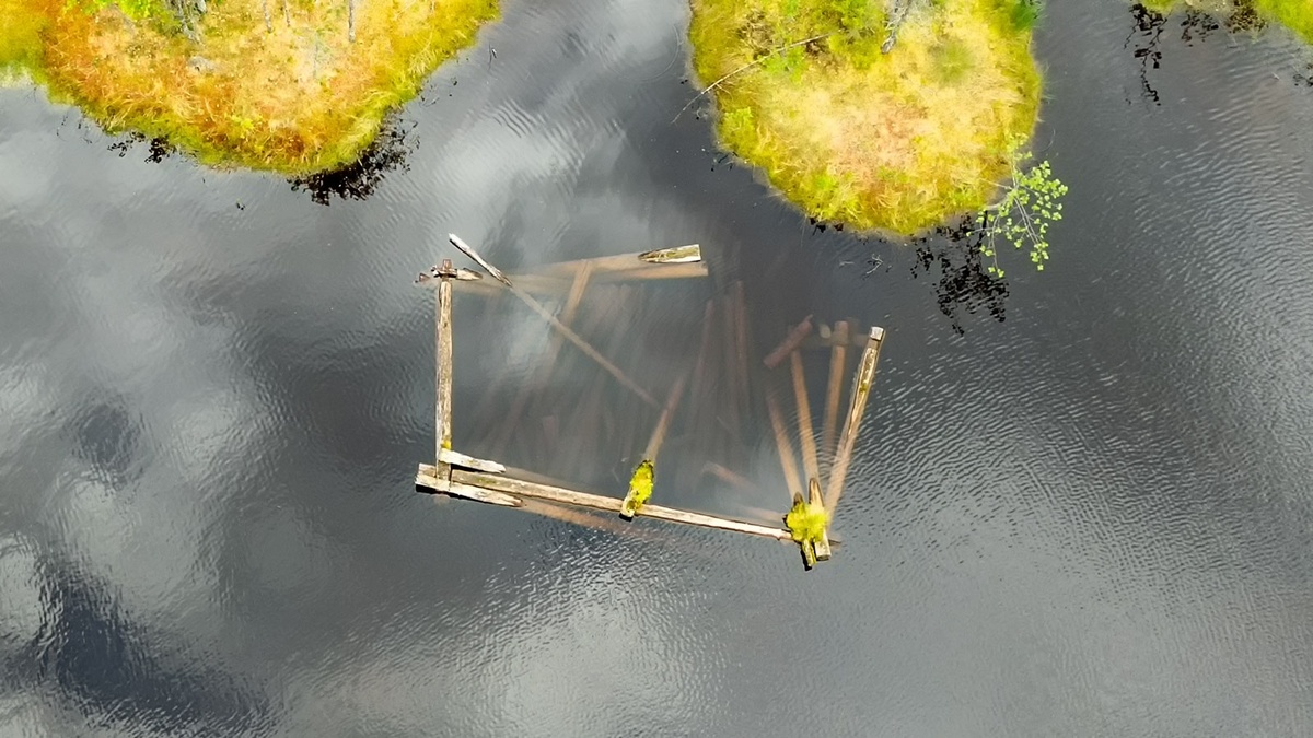    Фото: Илья Тимин