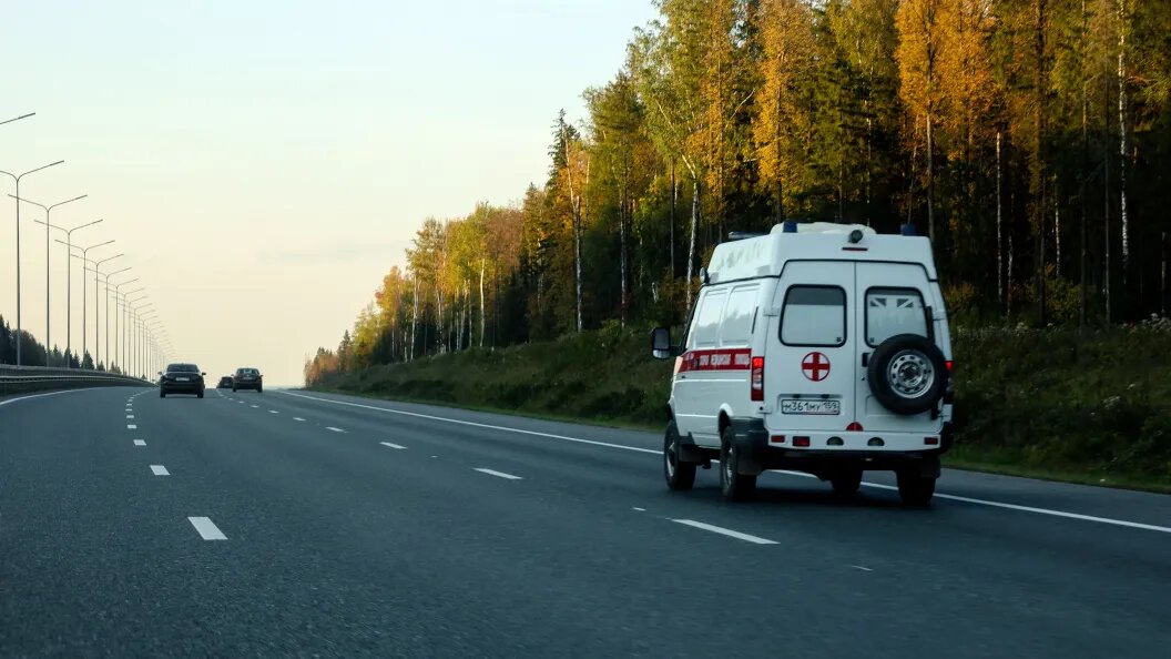    Елена Майорова/Global Look Press