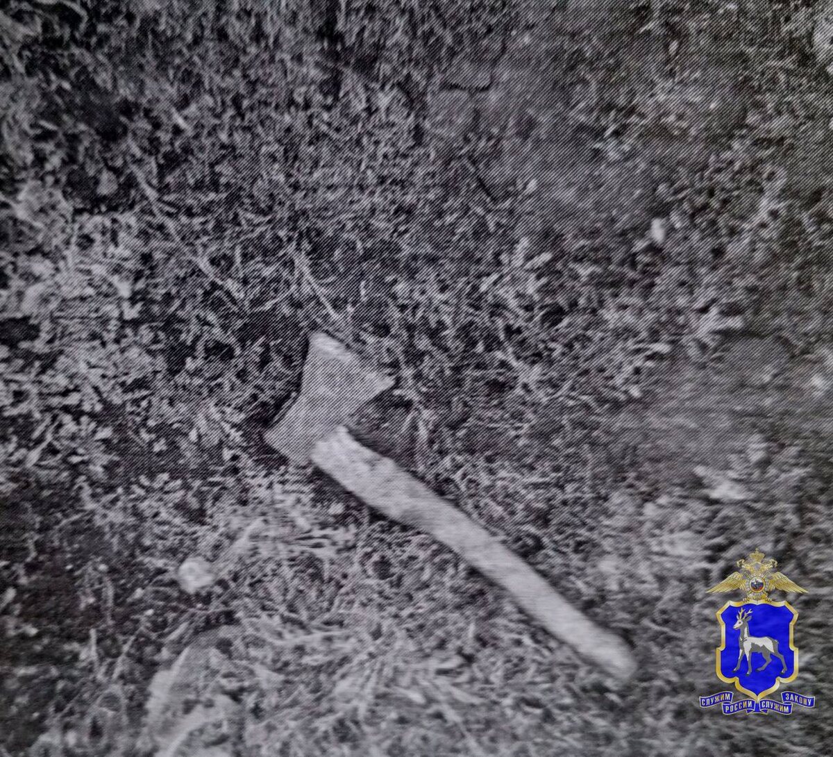    Фото ГУ МВД по Самарской области