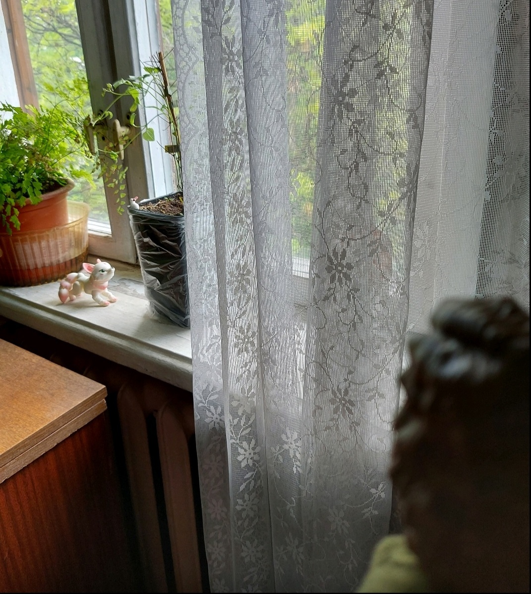 Странная звериная пара... Фото автора канала