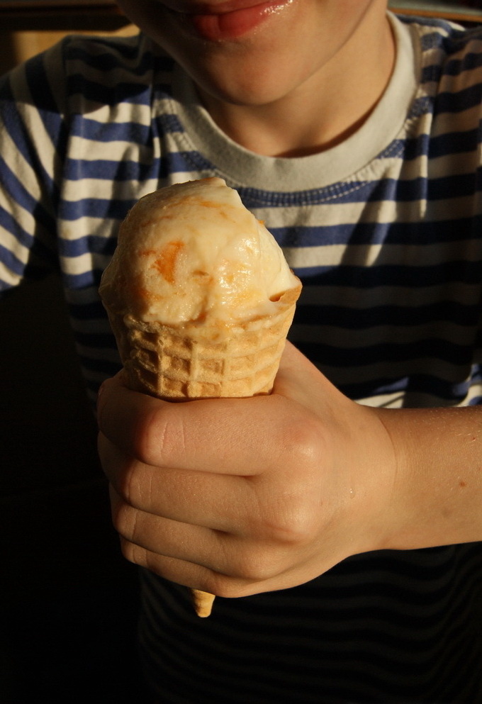 Фото автора. Абрикосовое мороженое.