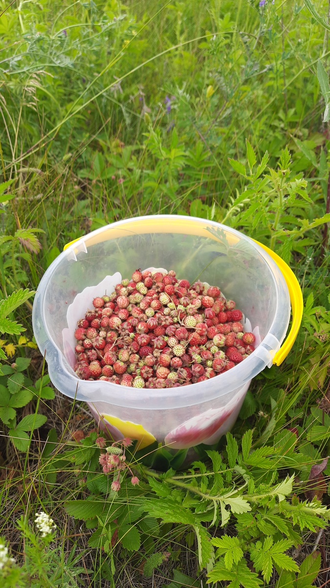 Фото из личного архива 